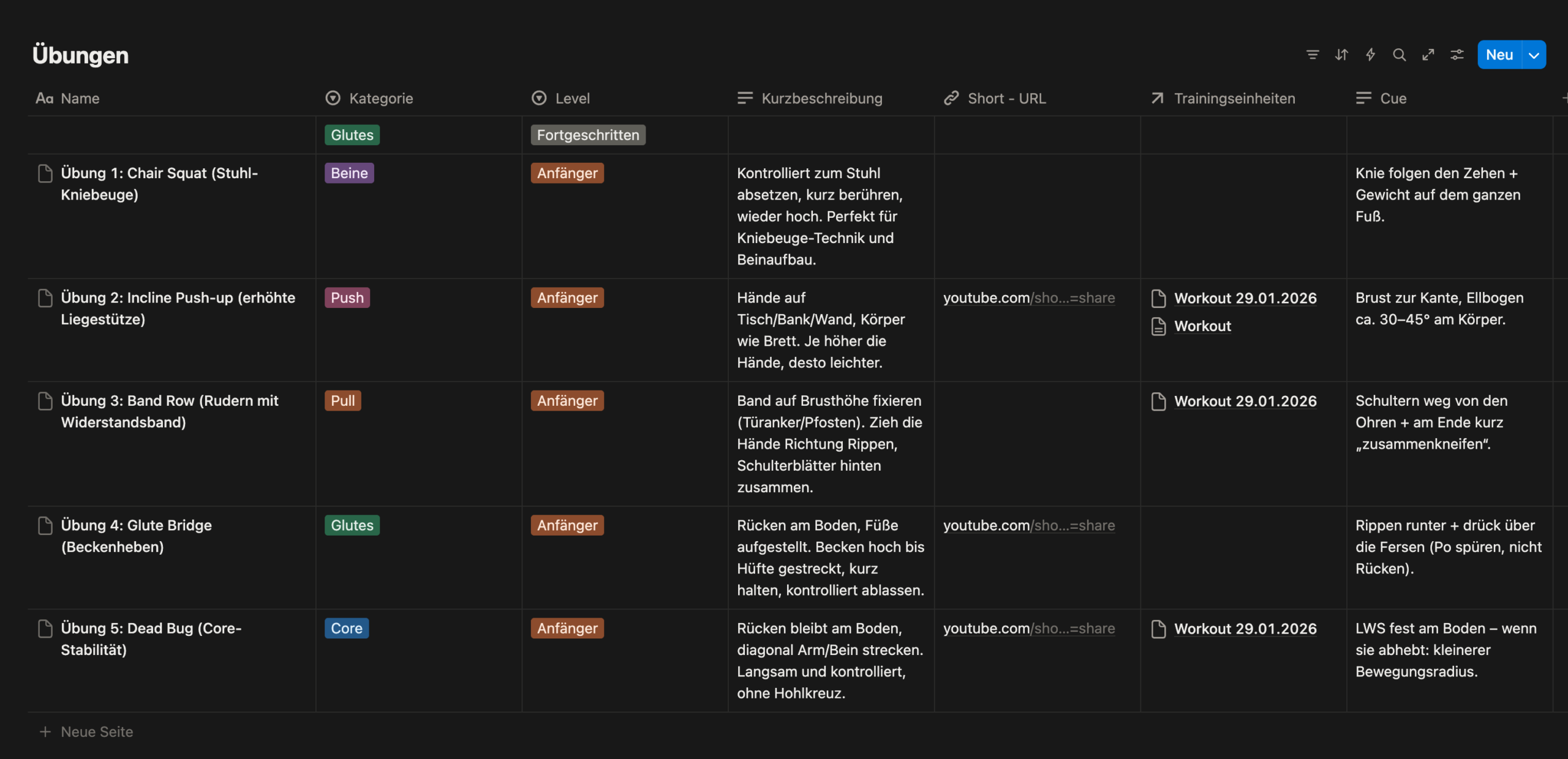 Notion Calisthenics Tracker Preview 3
